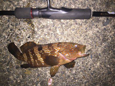 仕事帰りライトゲーム